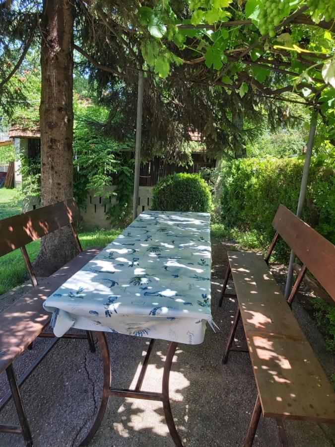 Apartma Sadrvan